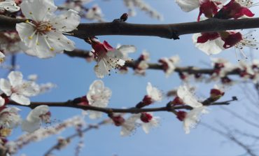 İlk cemre ne zaman düşecek?
