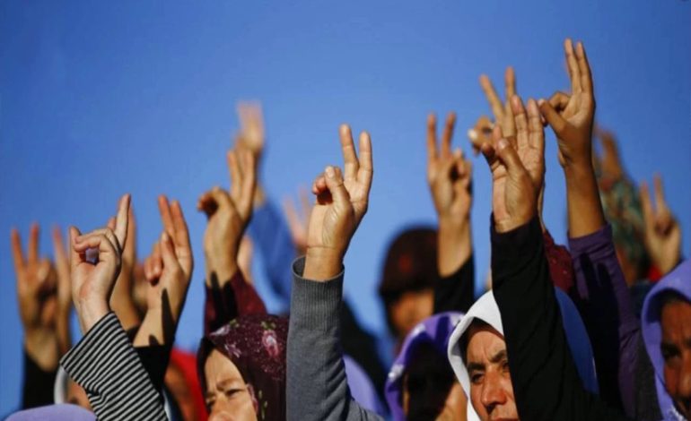 Kürt meselesinde ideal ve mümkün tek çözüm