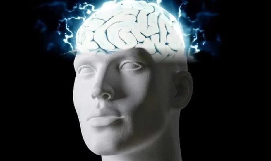 Doğrudan hafızaya etki ediyor: Beyindeki nöron sayısını arttırmak mümkün