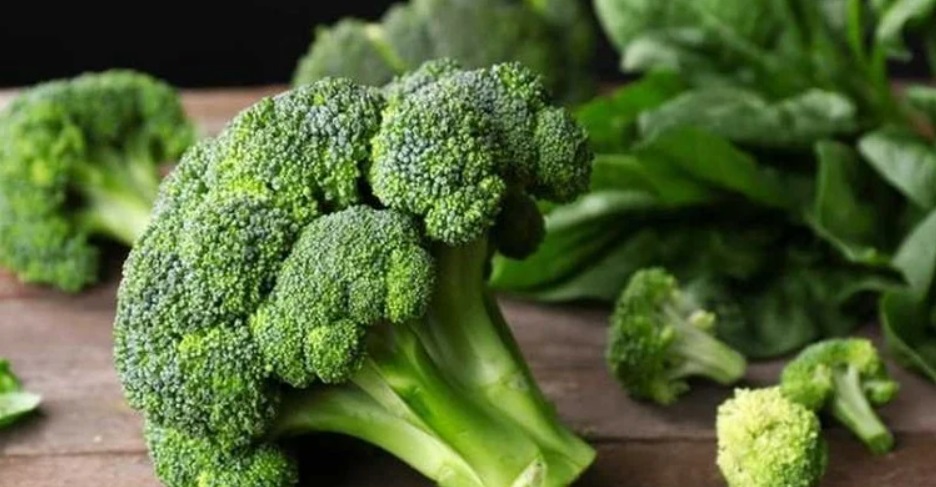Brokoli, uzayda yaşam arayışında bir basamak olabilir