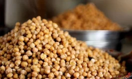 Nohut deyip geçmemek gerekiyor! Sağladığı fayda çok şaşırttı