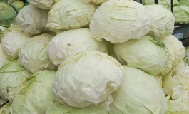 Ölümsüzlüğün Sırrı: Lahana ile Sağlıklı ve Uzun Bir Yaşam