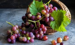 Prof. Dr. Osman Müftüoğlu "yeşil eczane" diyerek sıraladı: Bağışıklığı güçlendiren 10 molekül