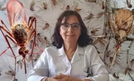 Batı Nil virüsü uyarısı: Türkiye’de de vakalar görülmeye başlandı, maymun çiçeğinden daha önemli