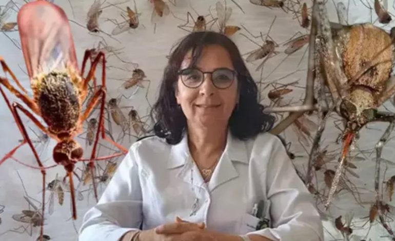 Batı Nil virüsü uyarısı: Türkiye’de de vakalar görülmeye başlandı, maymun çiçeğinden daha önemli