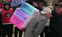 Zamlar, seçimler, hayaller, hayatlar