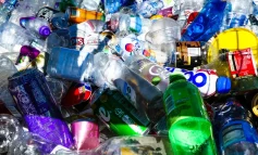 Tek kullanımlık plastik yasağı sonrası 35 bin kişi işsiz kalabilir