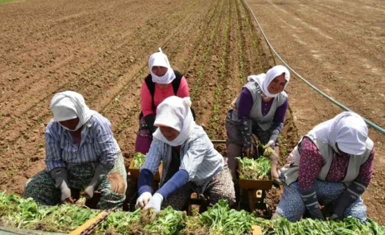 Diyarbakır’da derinleşen tarım krizi ve çiftçilerin borçları Meclis gündeminde