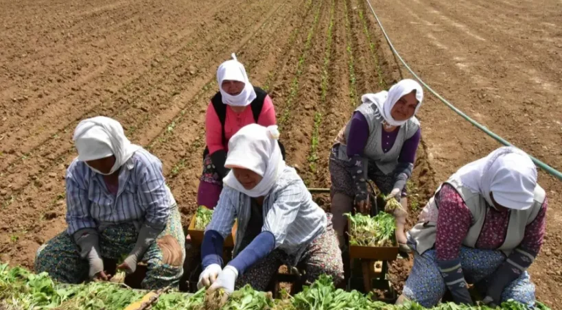 Diyarbakır’da derinleşen tarım krizi ve çiftçilerin borçları Meclis gündeminde