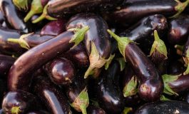 Sebze fiyatları arttı: 200 TL bir kilo patlıcana yetmiyor