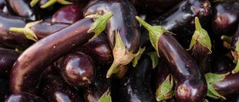 Sebze fiyatları arttı: 200 TL bir kilo patlıcana yetmiyor