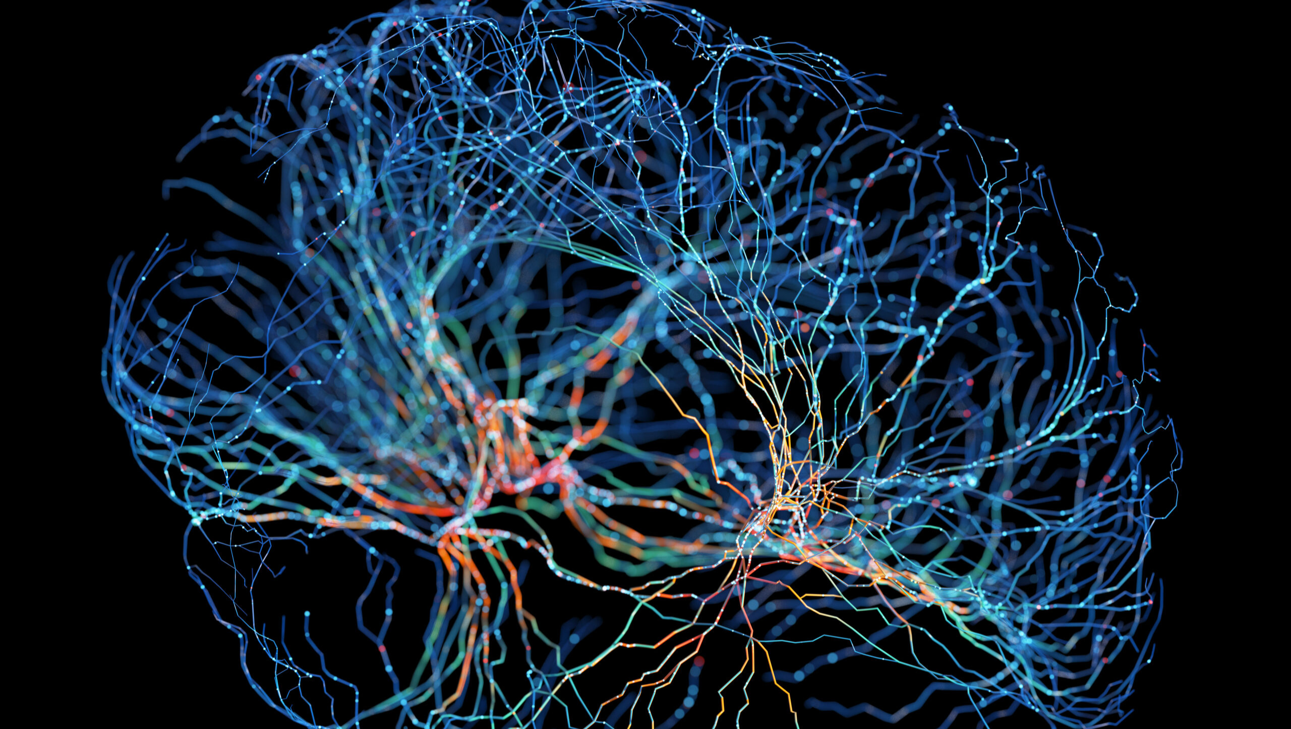 İnsan Beyin Hücreleriyle Güçlendirilmiş Yeni Bir Bilgi İşlem Alanı: