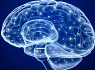 Cansız Hafıza: Nanotel Ağları, İnsan Beynine Benzer Şekilde Hatırlayabiliyor!