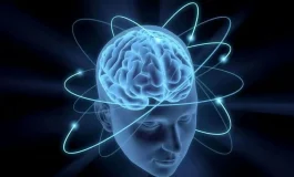 Beyin hakkında bildiklerinizi unutun: Yetişkinlikte de gelişmeye devam ediyor!