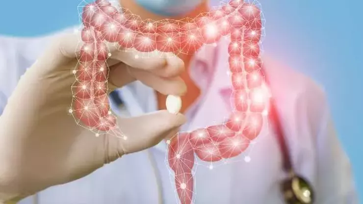 Mutlu bağırsağın sırrı: Hangi besinler kolon kanserinden koruyor?