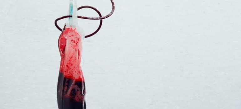 İnsan Kanı: Kanımız Ne Renktir? Kan Aslında Mavi Renkte mi?