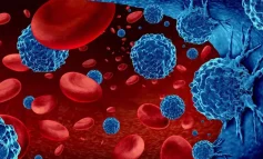 Kemik iliği nakli artık kardeş vericilerle sınırlı değil