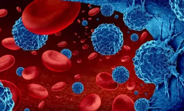 Kemik iliği nakli artık kardeş vericilerle sınırlı değil