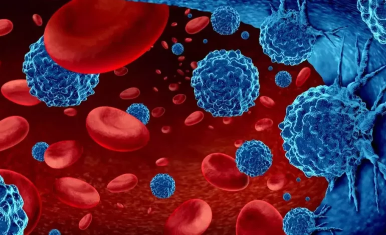 Kemik iliği nakli artık kardeş vericilerle sınırlı değil