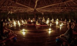 Psikedelik İlaçlar Bilinci Nasıl Etkiler?