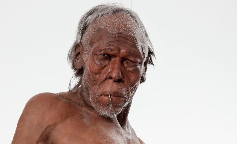 İnsanın Soy Ağacı: Homo sapiens Türüne Ait En Detaylı Taksonomik Sınıflandırma!