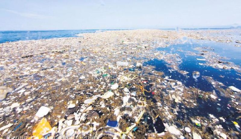 Ekolojik tehlike eşiğini aştı: Denizdeki plastiği yutmayan kalmadı