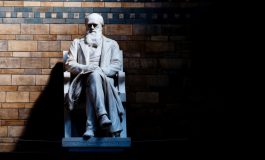 Darwinizm'den Bilimsel Ayrılış Bildirisi: Evrim, Bilim İnsanları Arasında Kabul Görüyor mu?
