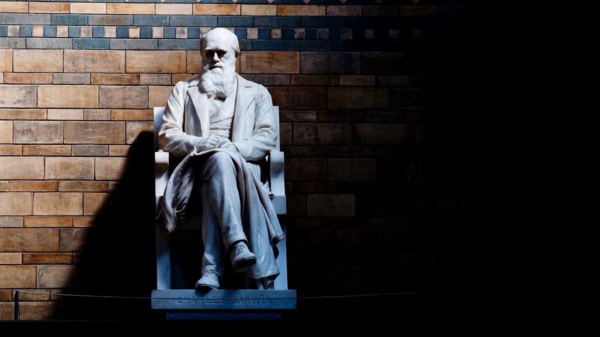 Darwinizm'den Bilimsel Ayrılış Bildirisi: Evrim, Bilim İnsanları Arasında Kabul Görüyor mu?