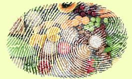 Diyet programları parmak izi gibidir!