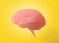 2025 Yılına Damga Varan Beynimiz İle İlgili 10 Çarpıcı Keşif