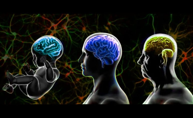 Araştırma: Beyin ortalama hangi yaşta yaşlanmaya başlıyor?