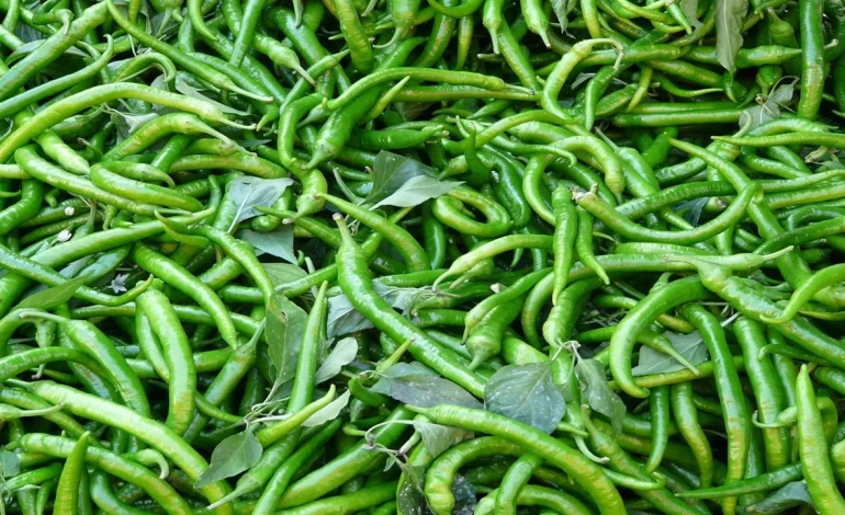 Biberin Sırrı Çözüldü: Acı mı Tatlı mı Olduğunu Anlamanın Kolay Yolu!