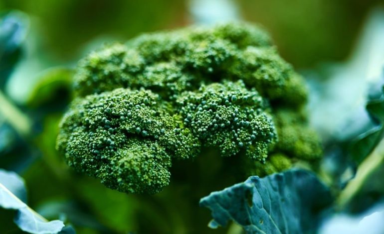 Brokoliyi 5 dakikadan uzun pişirmeyin! Neden mi?