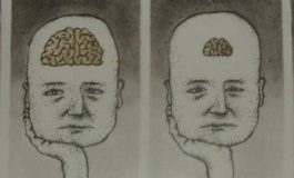 Cehaletin Krallığı