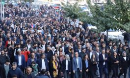 Vebayla mücadele etmek