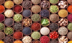 Doğala Yönelim Safsatası: Doğal Olan Her Zaman İyi midir?