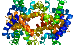 Doğru proteini almak için ne yapmalı?