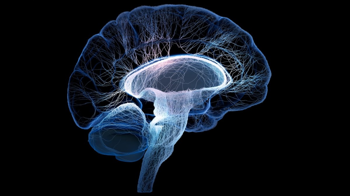 Şizofreni ve Beyin Yapısı Farklılıkları