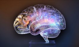 Epilepsi (sara) hastaları için 8 beslenme önerisi