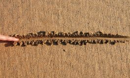 Demarkasyon Problemi Nedir? Bilimin Sınırlarına Nasıl Karar Vereceğiz?