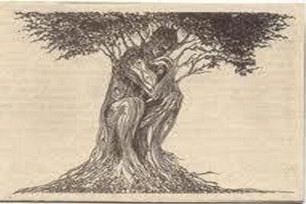 Felsefe ve Toplum bilimlerin değeri