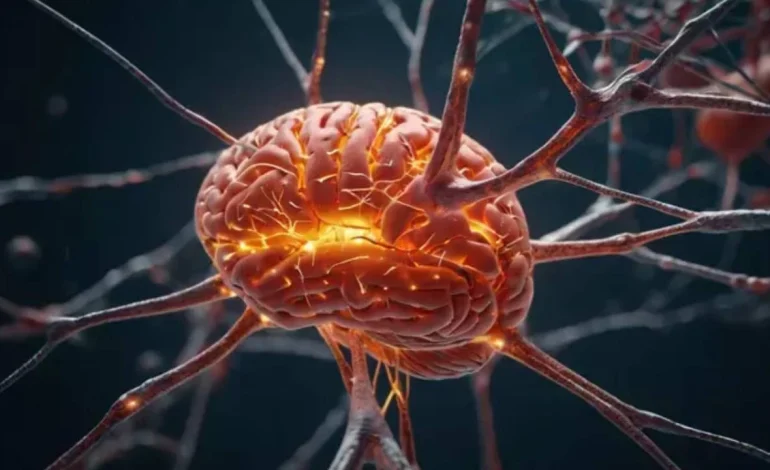 İnsan beyin hücreleriyle çalışıyor: CL1 tanıtıldı