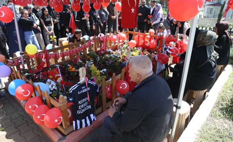 Şiddet nedir? Yaşananlar bireysel şiddet mi kurumsal örgütlü şiddet mi?