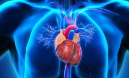 Volkan Konak hayatını kaybetmişti... Sahnedeki ani kalp krizlerinin altında yatan gerçek: Gizli kalp hastalığı mı?