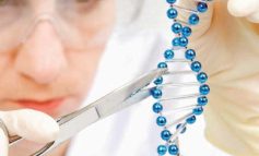 Kişisel beslenme: Genlere göre kafein, B vitamini ve tuz tüketimi