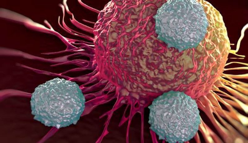 Araştırma: K﻿anser hücrelerini öldüren virüs, hastalar üzerinde olumlu sonuç verdi