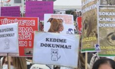 Bizi uyutamazsınız; bu zulüm ne unutulur ne de affedilir!