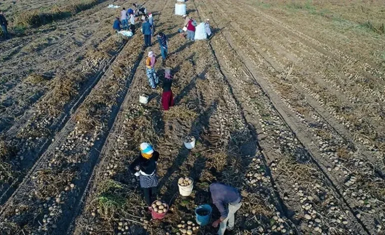 Mevsimlik işçiler yollara düştü: ‘İnsanca yaşam bizim de hakkımız’