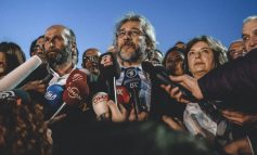 Barış güvercini kostümünde bir şahin