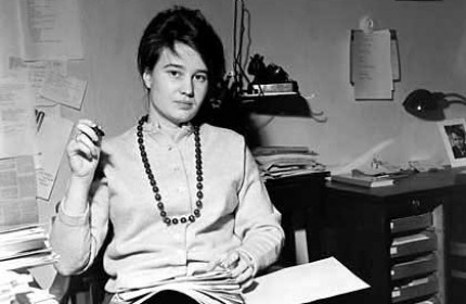 Bir düşün peşinde: Ulrike Meinhof